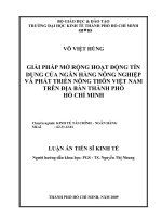 Giải pháp mở rộng hoạt động tín dụng của ngân hàng nông nghiệp và phát triển nông thôn Việt Nam trên địa bàn TPHCM