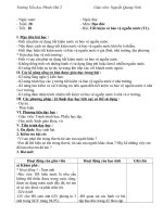 Giáo án Đạo đức tuần 28-35