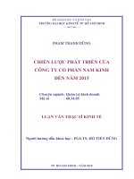 Chiến lược phát triển của công ty cổ phần Nam Kinh đến năm 2015