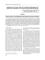 NGHIÊN CỨU KỸ THUẬT CANH TÁC TỔNG HỢP NHẰM NÂNG CAO NĂNG SUẤT CHUỐI MỐC Ở CÁC TỈNH DUYÊN HẢI NAM TRUNG BỘ