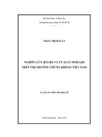 Nghiên cứu rủi ro và tỷ suất sinh lợi trên thị trường chứng khoán Việt Nam