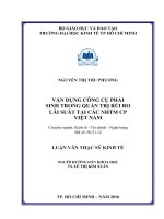Vận dụng công cụ phái sinh quản trị rủi ro lãi suất tại các NHTM CP Việt Nam  Luận văn thạc sĩ