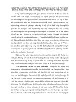 BÀI BÁO CÁO THỰC TẬP-THAM LUẬN CÔNG TÁC BỒI DƯỠNG HỌC SINH GIỎI CẤP TIỂU HỌC