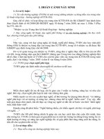 SKKN TU VAN HUONG NGHIEP LOAI KHA