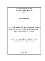 chiến lược marketing cho sản phẩm thẻ tín dụng quốc tế (visa credit card) tại ngân hàng TMCP xăng dầu petrolimex – PG bank