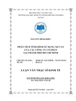 Phân tích tình hình sử dụng nợ vay của các Công ty cổ phần tại thành phố Hồ Chí Minh