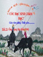 BÀI GIẢNG MINH HỌA CHUYÊN ĐỀ ĐỔI MỚI PHƯƠNG PHÁP DẠY HỌC   MỘT SỐ BIỆN PHÁP HƯỚNG DẪN  HỌC SINH HỌC TỐT  MÔN TẬP ĐỌC LỚP 4 Bài:  Ông trạng thả diều.