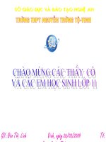 bai 41. sinh san vo tinh o thuc vat