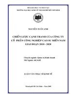 Chiến lược cạnh tranh của công ty cổ phần công nghiệp cao su miền Nam giai đoạn 2010-2020