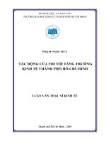 Tác động của FDI tới tăng trưởng kinh tế thành phố Hồ Chí Minh