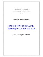 Nâng cao năng lực quản trị rủi ro tại các NHTM Việt Nam