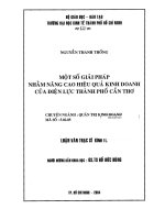 Một số giải pháp nhằm nâng cao hiệu quả kinh doanh của điện lực thành phố Cần Thơ  Luận văn thạc sĩ