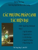 BÀI BÁO CÁO THỰC TẬP-CÁC PHƯƠNG PHÁP CANH TÁC HIỆN ĐẠI
