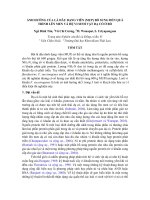 Ảnh hưởng của lá dâu dạng viên (MUP) bổ sung đến quá trình lên men và hệ vi sinh vật dạ cỏ ở bò