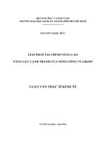 Giải pháp tài chính nâng cao năng lực cạnh tranh của tổng công ty Liksin