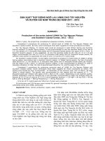 SẢN XUẤT THỬ GIỐNG NGÔ LAI LVN66 CHO TÂY NGUYÊN VÀ DUYÊN HẢI NAM TRUNG BỘ NĂM 2011 - 2012
