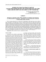 NGHIÊN CỨU CHỌN TẠO DÒNG CÀ PHÊ VỐI CÓ KHẢ NĂNG KHÁNG ĐỐI VỚI LOÀI TUYẾN TRÙNG GÂY HẠI CHÍNH DÙNG LÀM GỐC GHÉP CHO CÁC GIỐNG CÀ PHÊ THƯƠNG MẠI