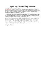 Ngừa ung thư nhờ bông cải xanh