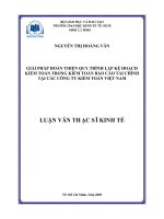 Giải pháp hoàn thiện quy trình lập kế hoạch kiểm toán trong kiểm toán báo cáo tài chính tại các công ty kiểm toán Việt Nam