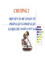Giáo trình bài giảng pháp luật đại cương chương 2