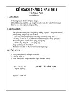 kế hoạch tháng 3 năm 2011