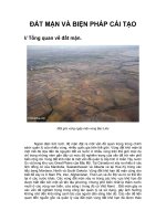 đất mặn và biện pháp cải tạo