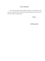 Ứng dụng chỉ số mô tả công việc (JDI - Job Descriptive Index) đánh giá sự thoả mãn đối với công việc của nhân viên tại Tổng công ty Vận tải thuỷ