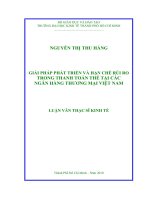 Giải pháp phát triển và hạn chế rủi ro trong thanh toán thẻ tại các Ngân hàng thương mại Việt Nam