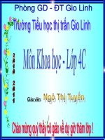 Nguyên nhân gây ô nhiễm nước