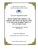 Hoàn thiện hệ thống tài khoản kế toán áp dụng cho các doanh nghiệp nhỏ và vừa ở Việt Nam