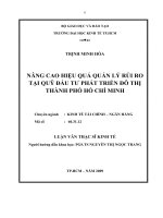 Nâng cao hiệu quả quản lý rủi ro tại quỹ đầu tư phát triển đô thị TPHCM  Luận văn thạc sĩ