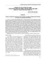 NGHIÊN CỨU XÂY DỰNG QUI TRÌNH CHẨN ĐOÁN VIRUS GÂY BỆNH LÙN SỌC ĐEN Ở VIỆT NAM BẰNG KỸ THUẬT SINH HỌC PHÂN TỬ