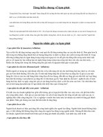 Bài thuyết trình về LẠM PHÁT ở Việt Nam