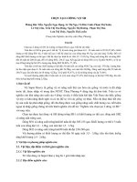 Chọn tạo 2 dòng vịt SH