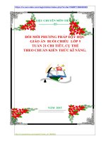 ĐỔI MỚI PHƯƠNG PHÁP DẠY HỌC  GIÁO ÁN  BUỔI CHIỀU  LỚP 5   TUẦN 21 CHI TIÊT, CỤ THỂ  THEO CHUẨN KIẾN THỨC KĨ NĂNG.
