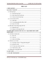 Tiểu luận môn biểu diễn tri thức và suy luận Cơ sở lý thuyết về hệ chuyên gia và mạng các đối tượng tính toán