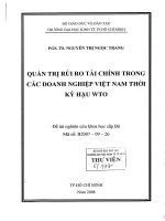 Quản trị rủi ro tài chính trong các doanh nghiệp Việt Nam thời kỳ hậu WTO