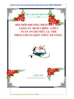 ĐỔI MỚI PHƯƠNG PHÁP DẠY HỌC  GIÁO ÁN  BUỔI CHIỀU  LỚP 5   TUẦN 19 CHI TIẾT, CỤ THỂ THEO CHUẨN KIẾN THỨC KĨ NĂNG.