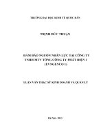 luận văn thạc sĩ quản trị kinh doanh Đảm bảo nguồn nhân lực tại công ty TNHH MTV Tổng công ty phát điện 1
