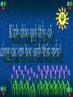 cuoc chay dua trong rung