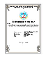 luận văn quản trị kinh doanh Một số biện pháp phát triển thị trường tiêu thụ xe máy của Công ty TNHH thương mại Mai Long ,