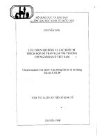 LỰA CHỌN MÔ HÌNH VÀ CÁC BƯỚC ĐI THÍCH HỢP ĐỂ THÀNH LẬP THỊ TRƯỜNG CHỨNG KHOÁN VIỆT NAM