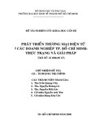 Phát triển thương mại điện tử ở các doanh nghiệp TP. Hồ Chí Minh Thực trạng và giải pháp