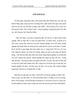 luận văn quản trị chiến lược MỘT SỐ GIẢI PHÁP NHẰM TÁI CẤU TRÚC CÔNG TY TNHH THÁI NAM