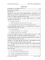 Một số đánh giá về hoạt động kinh doanh và tình hình tổ chức hạch toán kế toán tại Công ty Cổ phần Thương Mại Tâm Việt