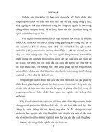 “Nghiên cứu tổng hợp các dẫn chất của sesquitecpenoit thiên nhiên parthenin và thăm dòhoạt tính sinh học của chúng