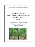 Giáo trình mô đun sản xuất cây giống bằng chiết, ghép