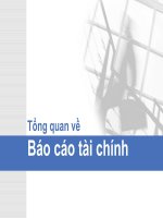 Tổng quan về báo cáo tài chính (Môn Kiểm toán 1)
