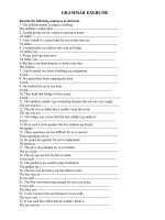 GRAMMAR EXERCISE