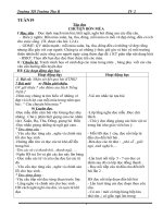 TIENG VIET 2 HKII CKT -KNS 2010-2011